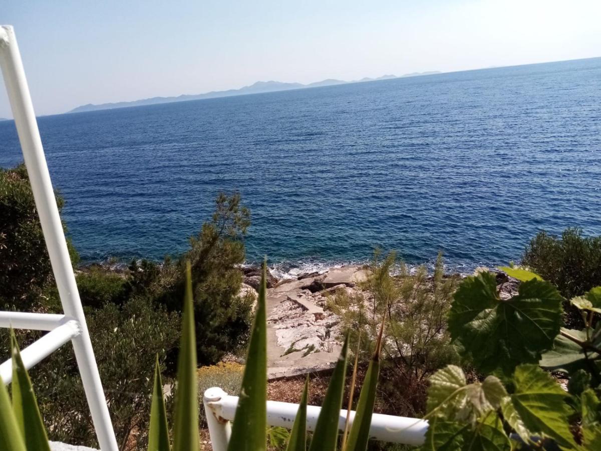 Apartman Laus Zavalatica Exteriér fotografie